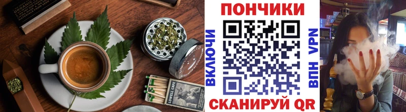 Купить закладки  Барыш  Cannafood марихуана 