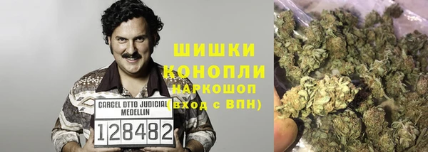 дживик Горняк