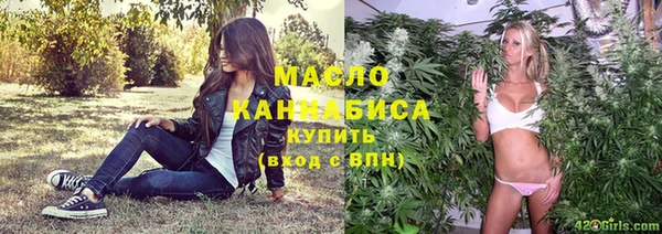 шишки Гусь-Хрустальный