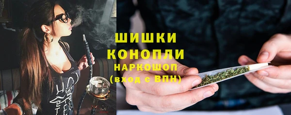 2c-b Горнозаводск