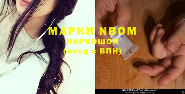 ГАЛЛЮЦИНОГЕННЫЕ ГРИБЫ Горно-Алтайск