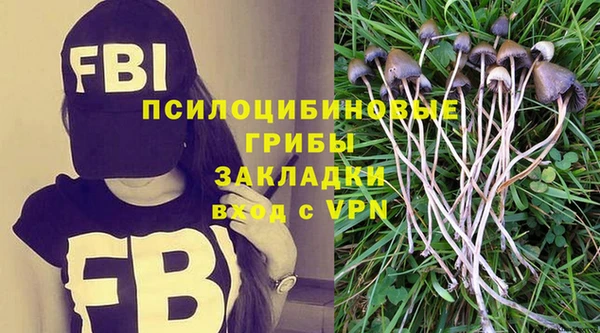 ГАЛЛЮЦИНОГЕННЫЕ ГРИБЫ Горно-Алтайск