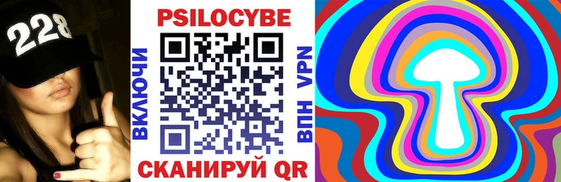 Псилоцибиновые грибы Psilocybe  Купить где  Барыш 